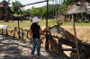 feeding giraffs Khao Kheow Zoo