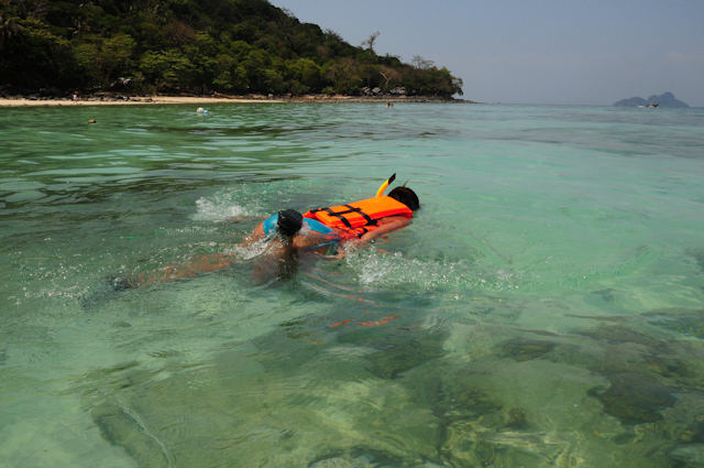 Snorkeling on Phi Phi Don