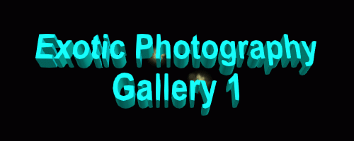Exotic photograpy gallery 1