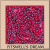 fitswellsdream.gif (130808 bytes)