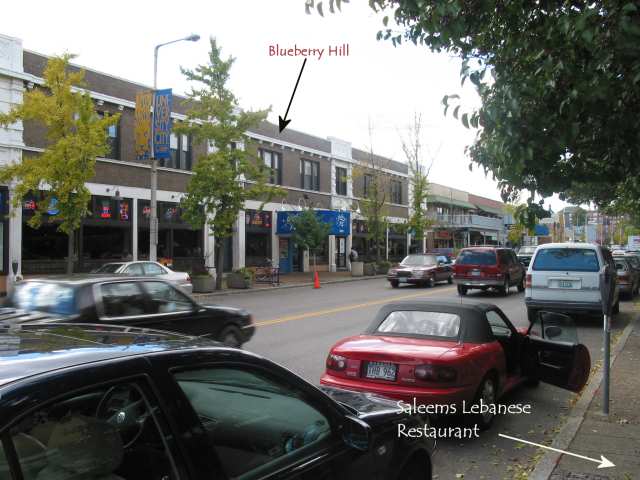 Picture of St. Louis Delmar Loop in University City