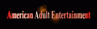 American Adult Entertainment 