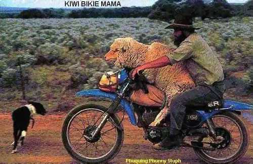 Observations from the D.J. Booth Kiwi Bike Mania picture