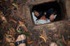 Tunnel Rat