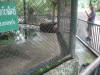 Crocodile Farm