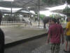 crocodile farm